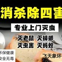 上海靜安區(qū)蛋糕店鹵菜店小吃店除蟲滅鼠?消殺除蟑螂