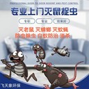 上?？焖偕祥T(mén)除蟑螂除蟲(chóng)除跳蚤除臭蟲(chóng)天花板有老鼠怎么辦