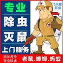 上海工廠除蟑螂滅蚊蠅消殺服務(wù)治老鼠快好的方法