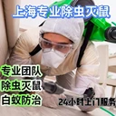 上海上門抓老鼠公司工廠滅鼠辦公室滅鼠