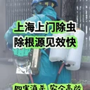 上海除蟑螂滅蚊蠅公司學(xué)校滅鼠食堂滅鼠