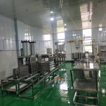 濟南宏金全自動大中小型豆腐皮機設備