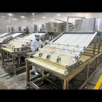 濟南宏金食品全自動腐竹機，全自動大型腐竹油皮機