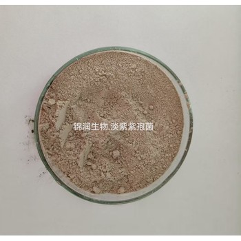 淡紫紫孢菌淡紫擬青霉微生物菌劑根線蟲
