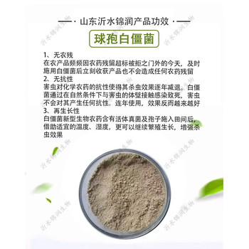 根結(jié)線蟲藥淡紫紫孢菌戰(zhàn)線靈擬青霉根瘤菌劑蔬菜果樹殺根線蟲