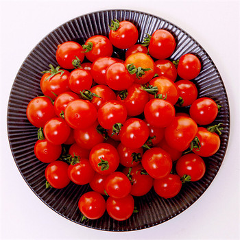 成都錦江區(qū)食堂蔬菜配送信息本地蔬菜配送