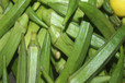 成華區(qū)生鮮配送指導(dǎo)報價飯?zhí)猛獍泄? />
							</a>
						</div> 
					
						<div><h3><a  target=