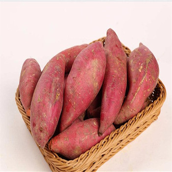 眉山生鮮配送價(jià)格食材新鮮醫(yī)院食堂外包