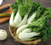 龍泉驛區(qū)城市蔬菜配送中心銷售