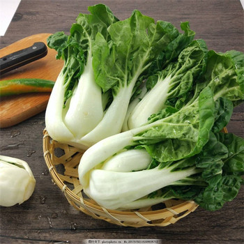 南充生鮮供應(yīng)商市場(chǎng)報(bào)價(jià)食堂承包廠家