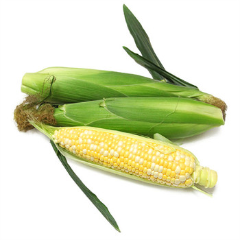 錦江區(qū)生鮮配送食材新鮮團(tuán)膳外包