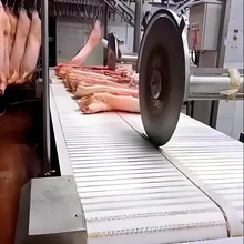 食品加工廠肉類分割線傳送設(shè)備