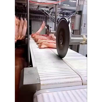 肉類分割線肉類傳送設(shè)備