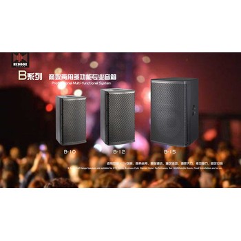 新銳音響（RDBX）兩通道550W功放舞臺(tái)演出系統(tǒng)