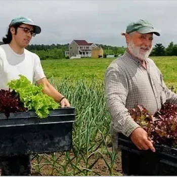 高薪誠招上海黃埔去澳大利亞農(nóng)場(chǎng)項(xiàng)目做采摘種植