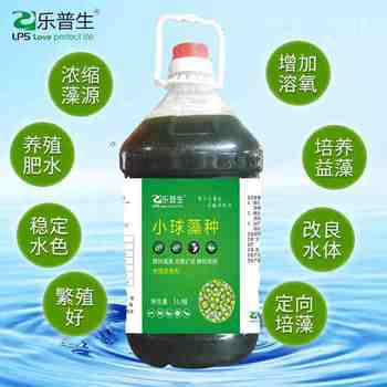 魚蝦蟹濃縮蛋白核小球藻廠家快速培藻
