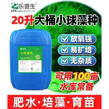 樂普生濃縮蛋白核小球藻種廠家多少錢