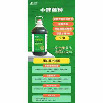 珍珠蚌濃縮蛋白核小球藻種廠家