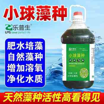 珍珠蚌蛋白核小球藻廠家快速培藻