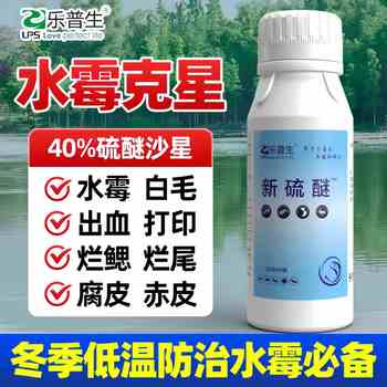 水霉病魚用什么治療效果快好