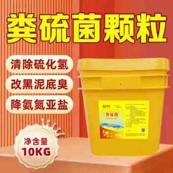 湖北糞硫菌正規(guī)廠家改底除臭