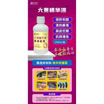 湖北水產(chǎn)五黃散廠(chǎng)家防治爛鰓腸炎出血