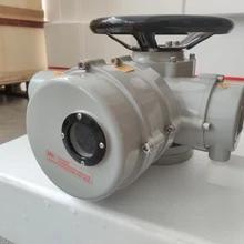 DZW電動(dòng)執(zhí)行器