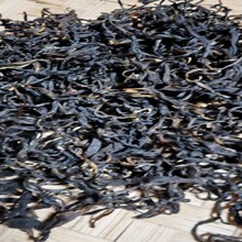 六堡茶什么牌子受歡迎？六堡茶哪個(gè)牌子品質(zhì)高？圖片