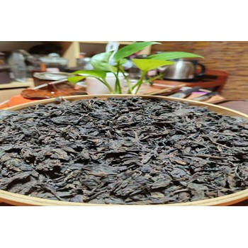 揭秘六堡茶BulkPrice背后的真相：精明茶商的共同選擇？
