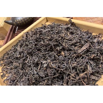 品味歲月沉淀，梧州山塘岐陳年六堡茶的匠心傳承