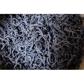 六堡茶品牌哪家好？六堡茶廠家批發(fā)選哪家？深度解析助您明智選擇