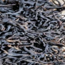 六堡茶廠家批發(fā)哪家好？蒼梧山塘岐，源頭直供的地道六堡味