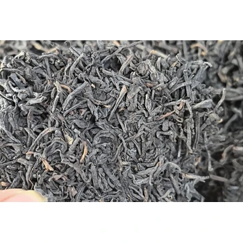 探秘蒼梧六堡山塘岐：一杯茶中的參香傳奇，究竟有多好喝？