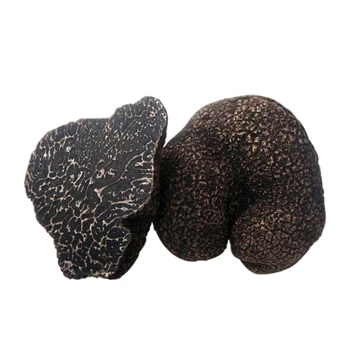 黑松露/松露