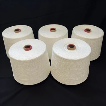 天絲紗天絲棉紗G100A100蘭精天絲紗