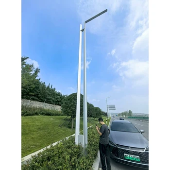 異型路燈--市政路燈--造型路燈