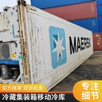 海運(yùn)集裝箱式移動(dòng)冷庫(kù)，移動(dòng)冷凍庫(kù)，二手集裝箱冷柜