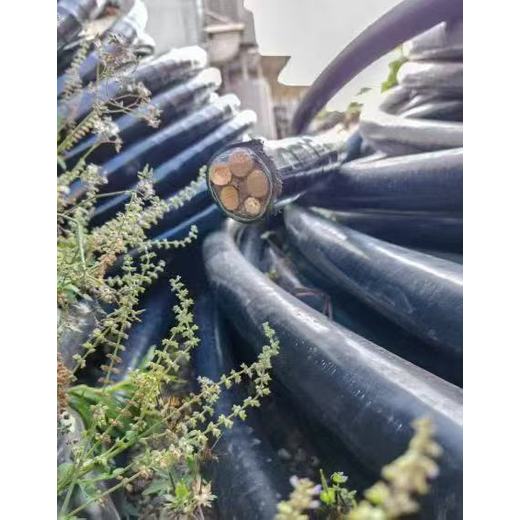 南京電纜回收,二手電纜線(xiàn)回收,上上電纜線(xiàn)上門(mén)回收