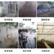 截圖20241009181502