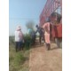 mmexport1593248355523