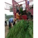 mmexport1562834593772