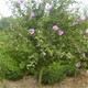 2c4984a82e3cf2aabbed29772fda5d9f_u=750996873,2016249551&fm=214&gp=0