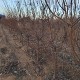 IMG_20221210_164016