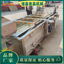 凈菜清洗設備佳品食品機械瓜果氣泡清洗機生產(chǎn)商