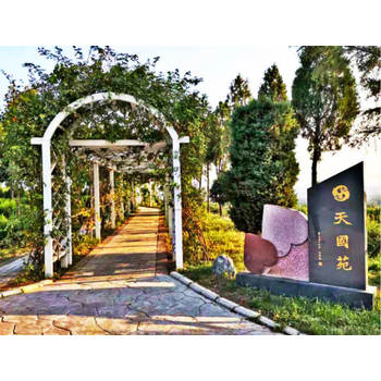 洛陽鳳凰山生態(tài)紀念園把生命種進森林，讓思念沿著樹梢生長