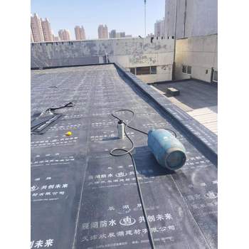 東麗區(qū)彩鋼板防水防腐丙綸防水側(cè)漏外墻滲水鋪油氈