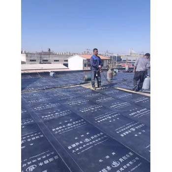 河西區(qū)房屋漏水維修防水堵漏工程防水鋪油氈SBS卷材