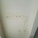 塘沽外墻滲水維修地下室注漿屋面防水鋪油氈