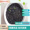 景德鎮(zhèn)海綿鐵濾料廠家規(guī)格耐磨尋經(jīng)久耐用瑞林供應(yīng)