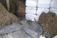 深圳鹽田港進口貝寧腰果清關操作流程